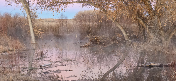 Bernardo Wildlife Area, New Mexico